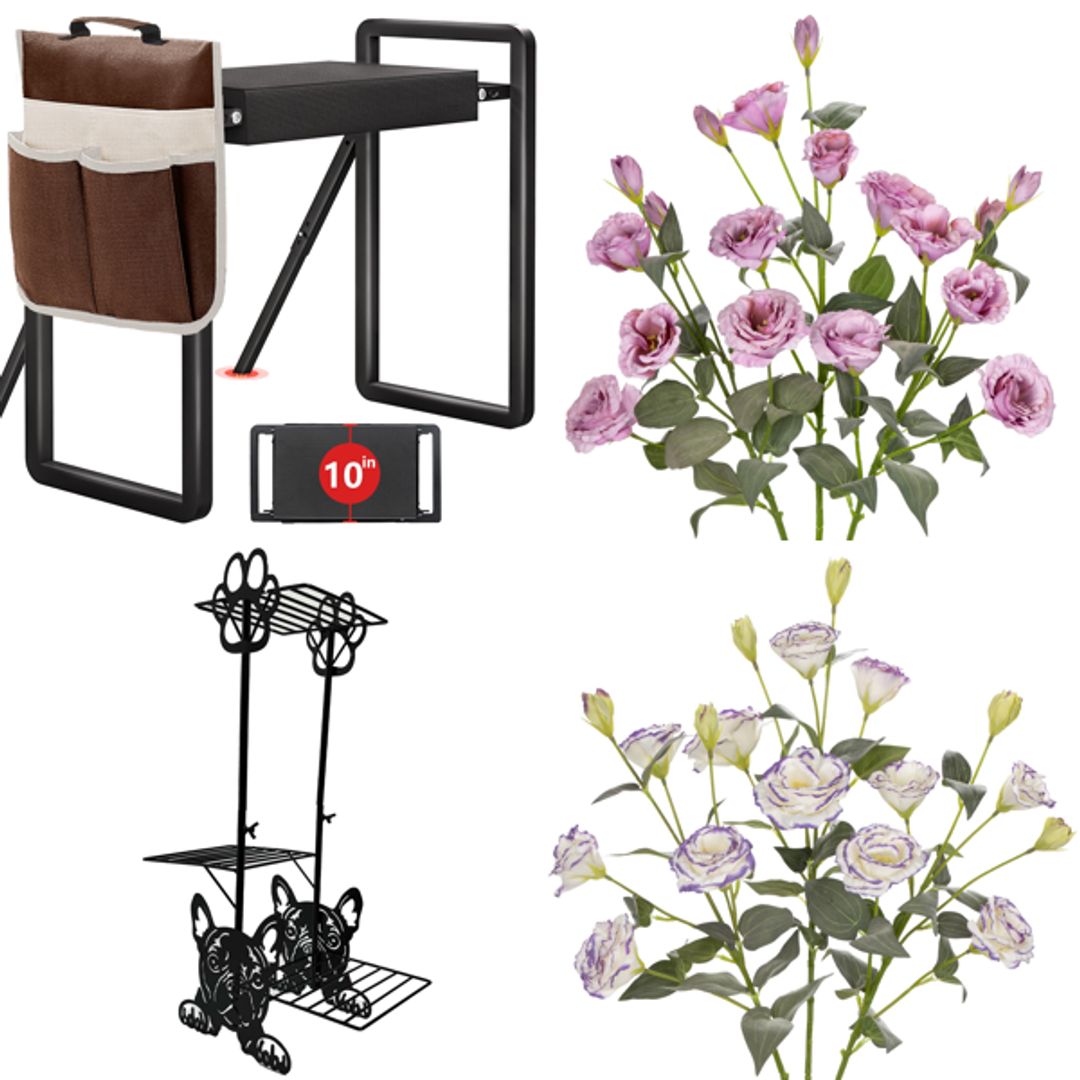 Product-image