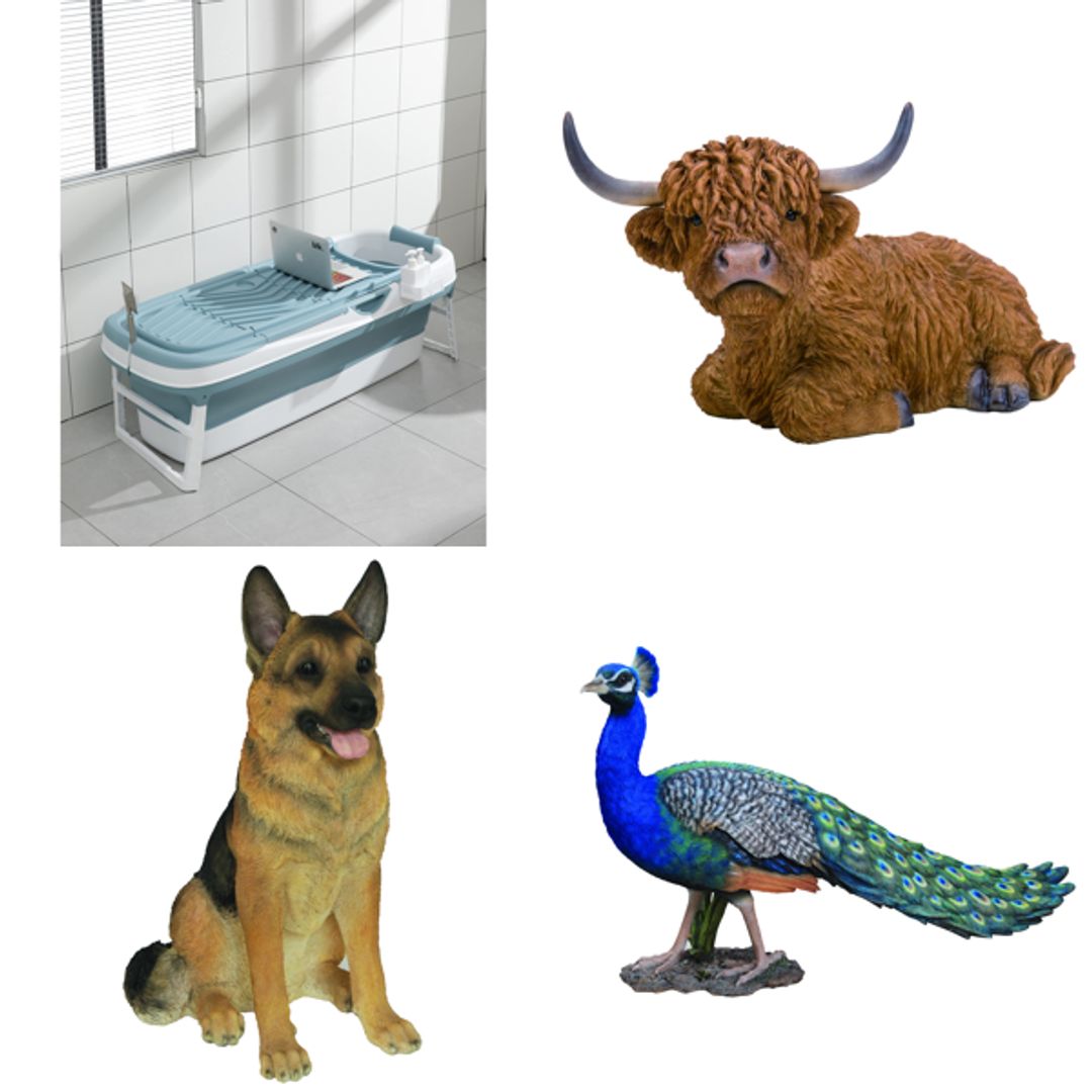 Product-image