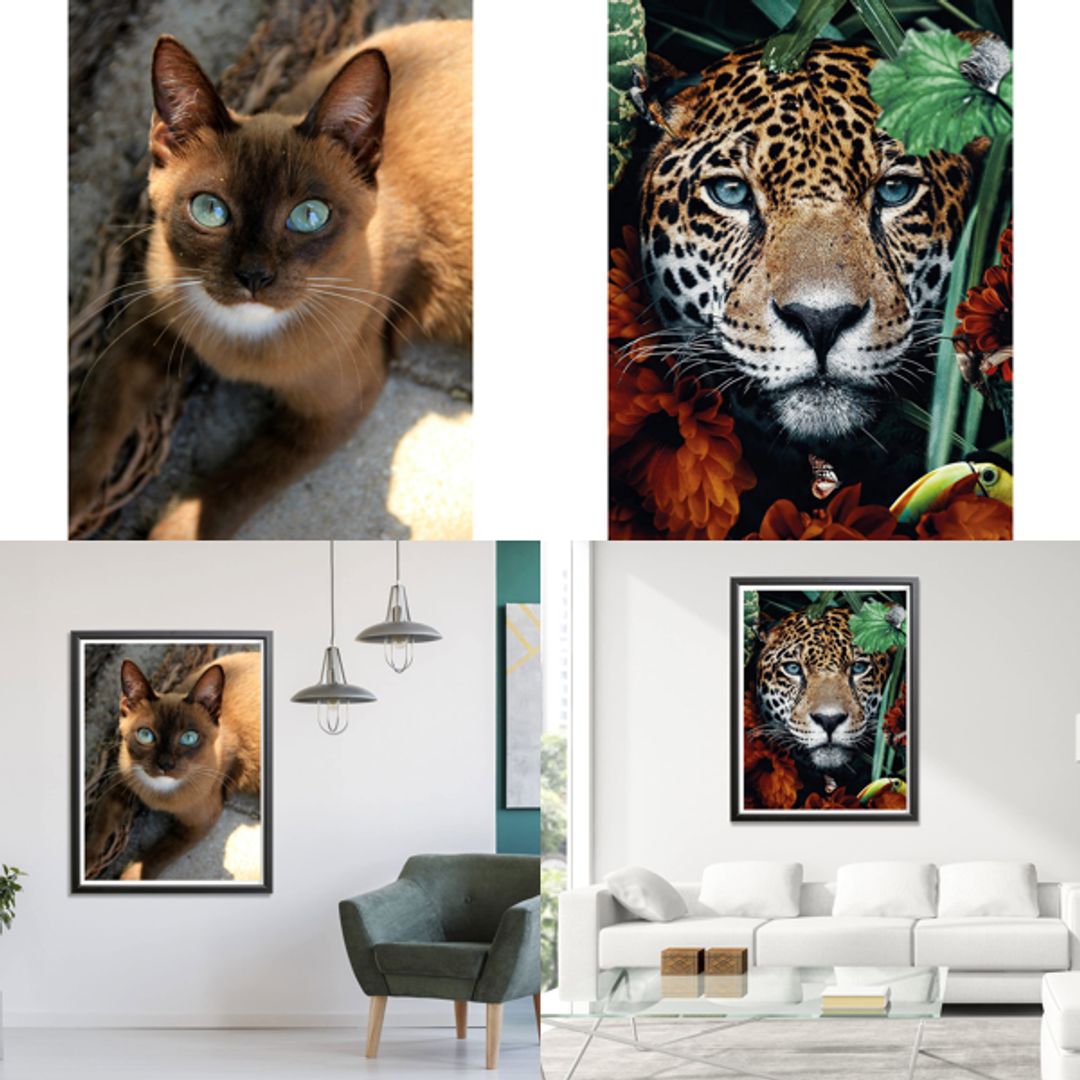 Product-image