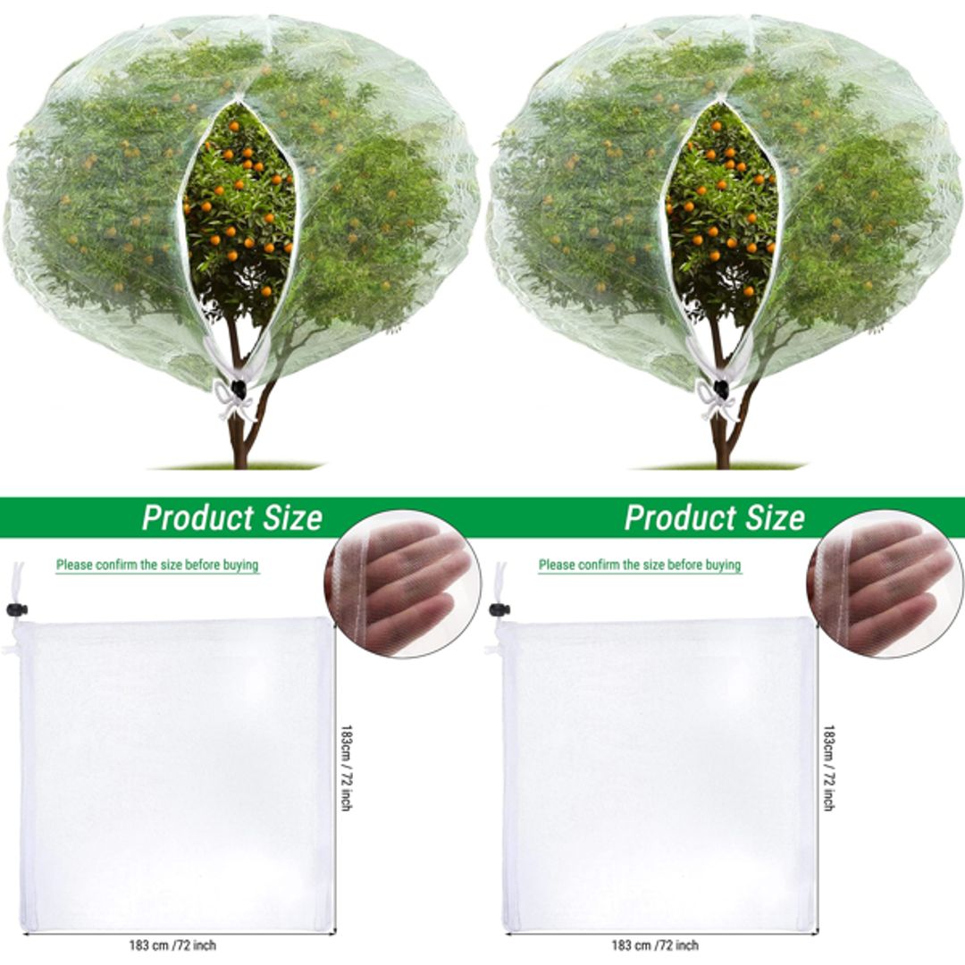 Product-image