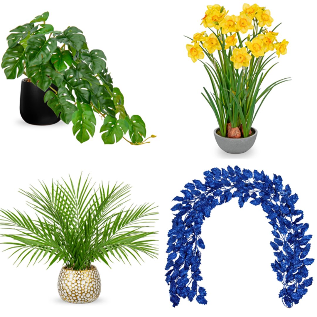Product-image