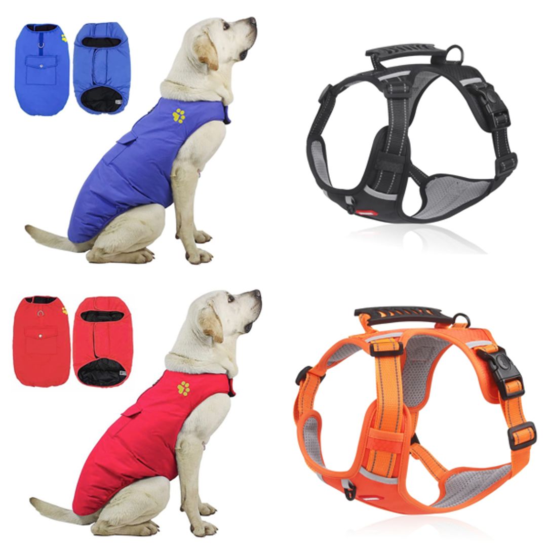 Product-image