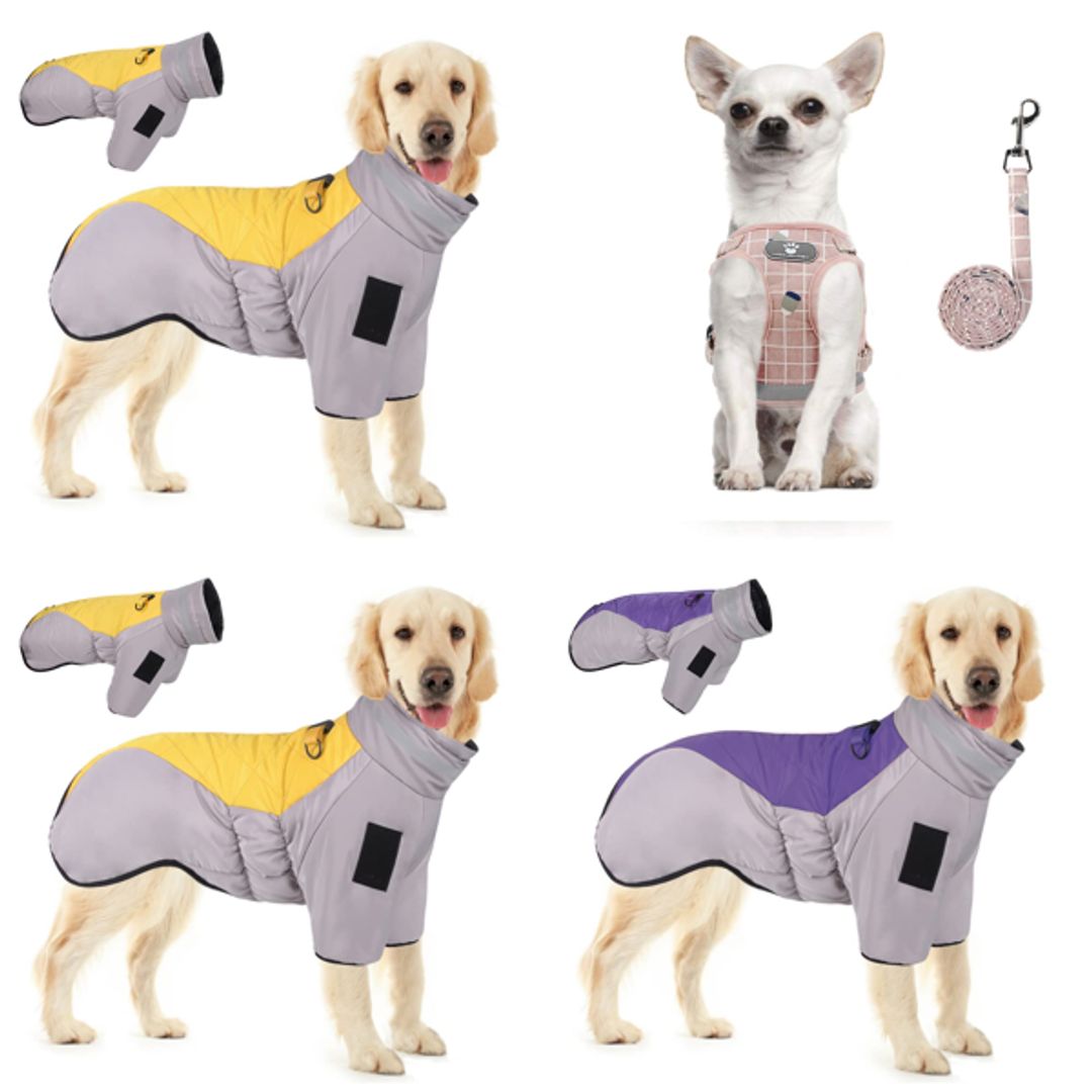 Product-image