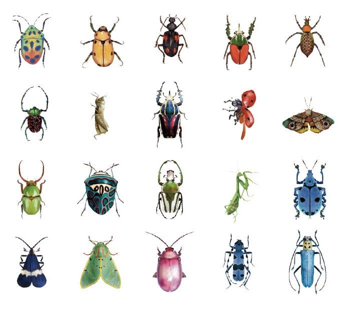 product-slider-images