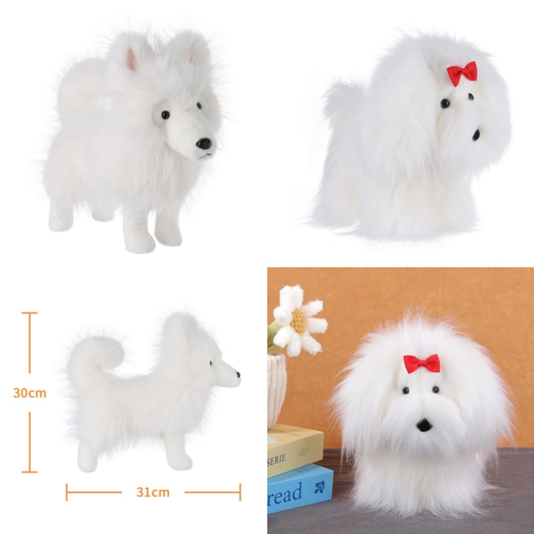 Product-image
