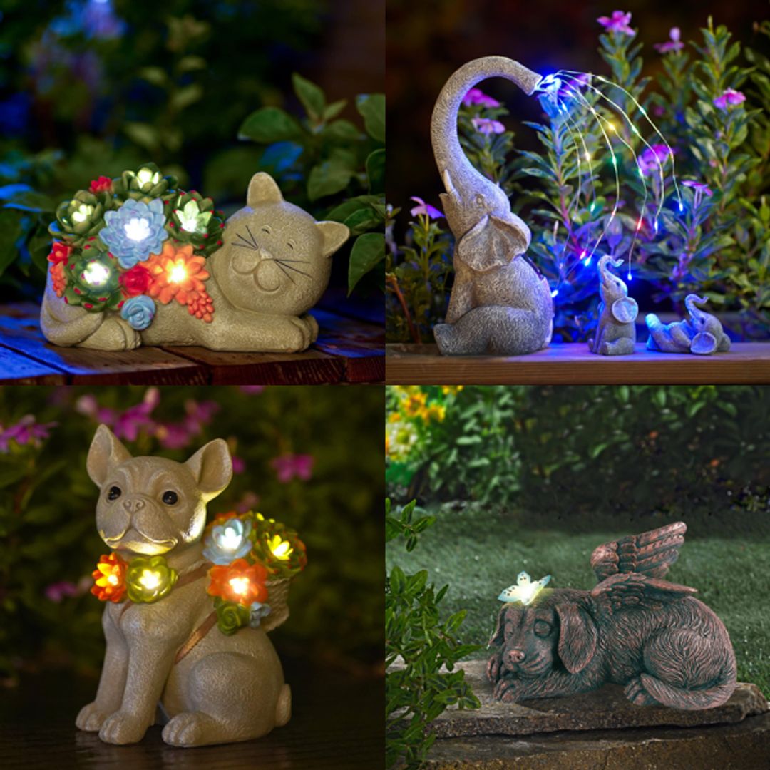 Product-image