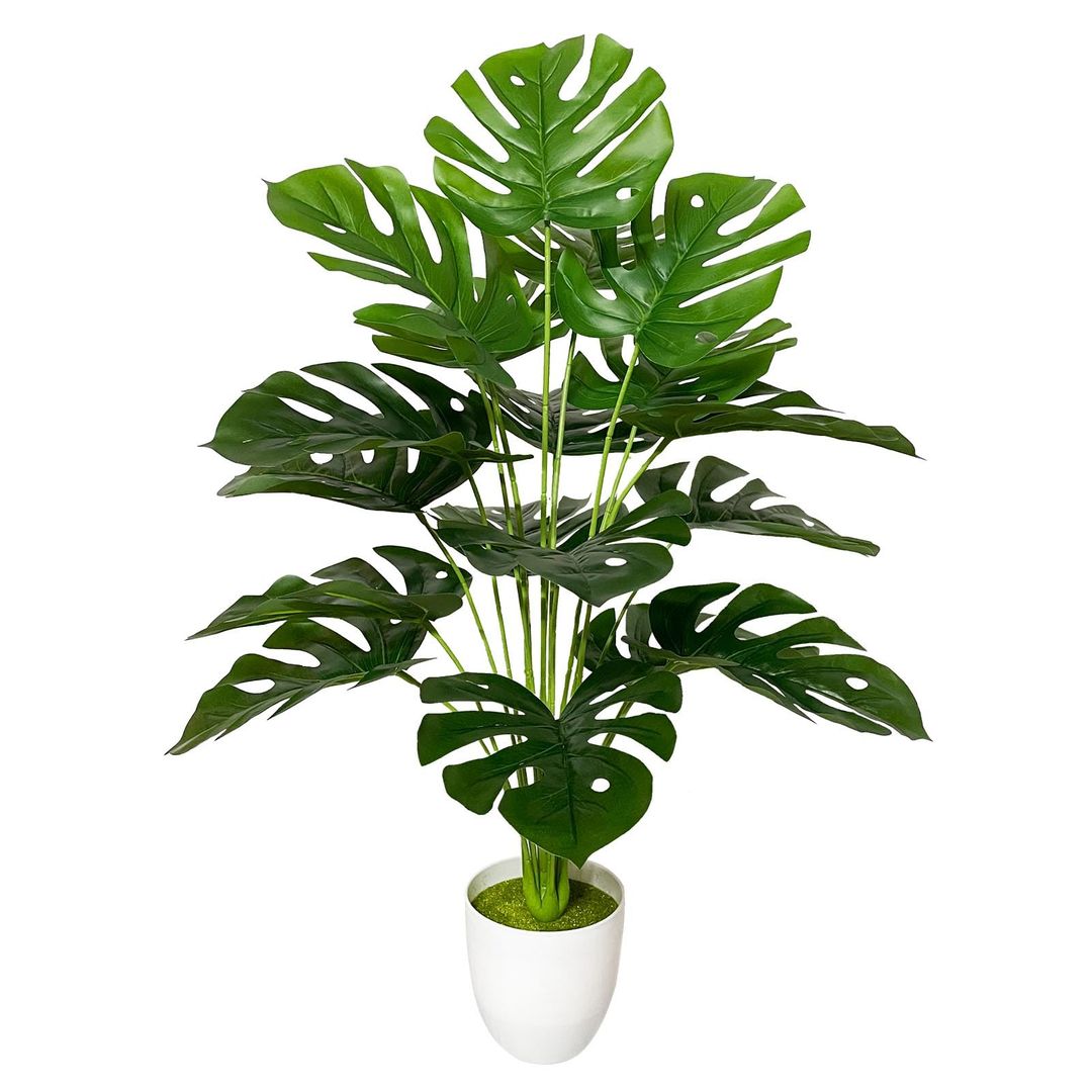 Product-image