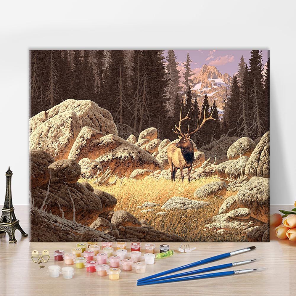 product-slider-images