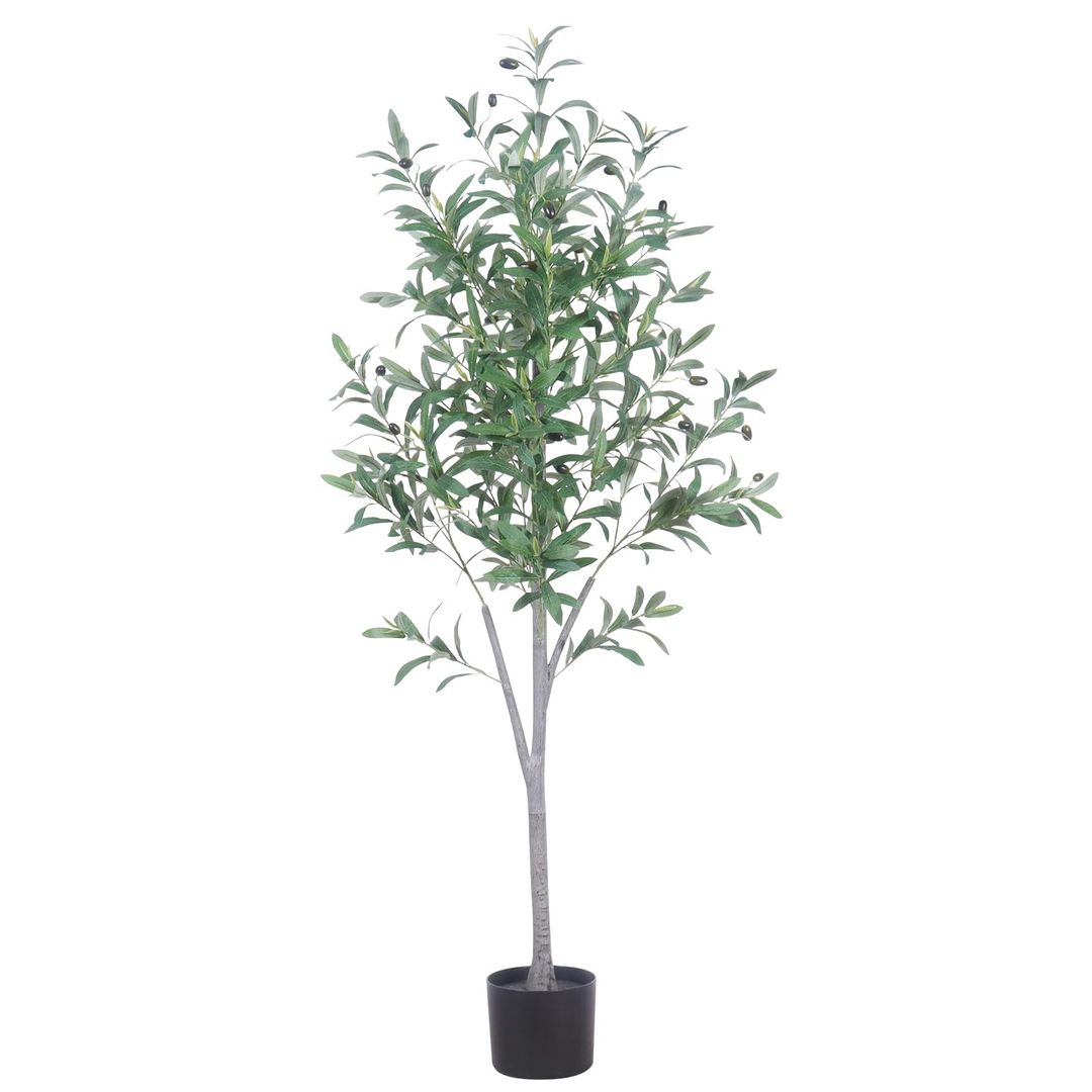 Product-image