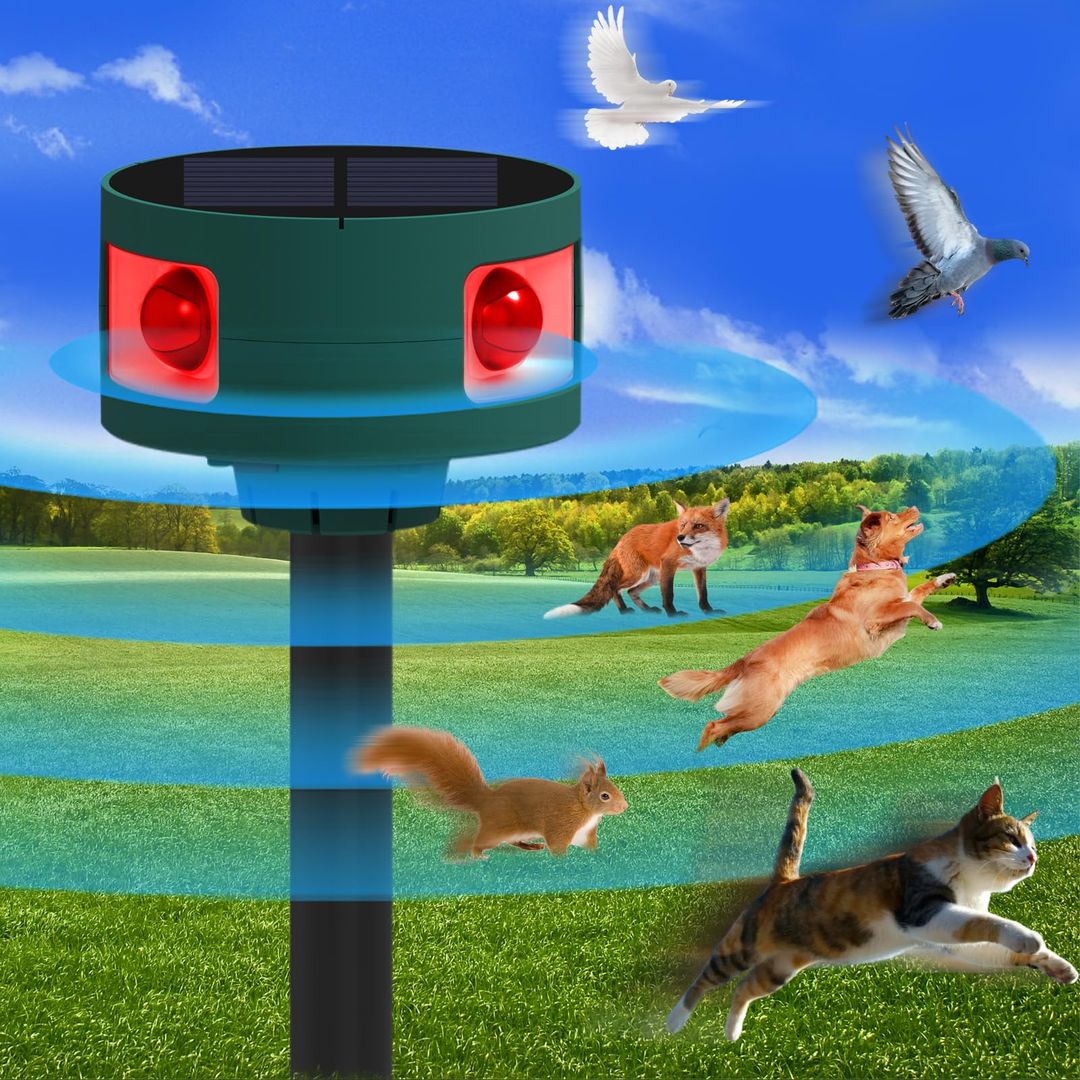 Product-image