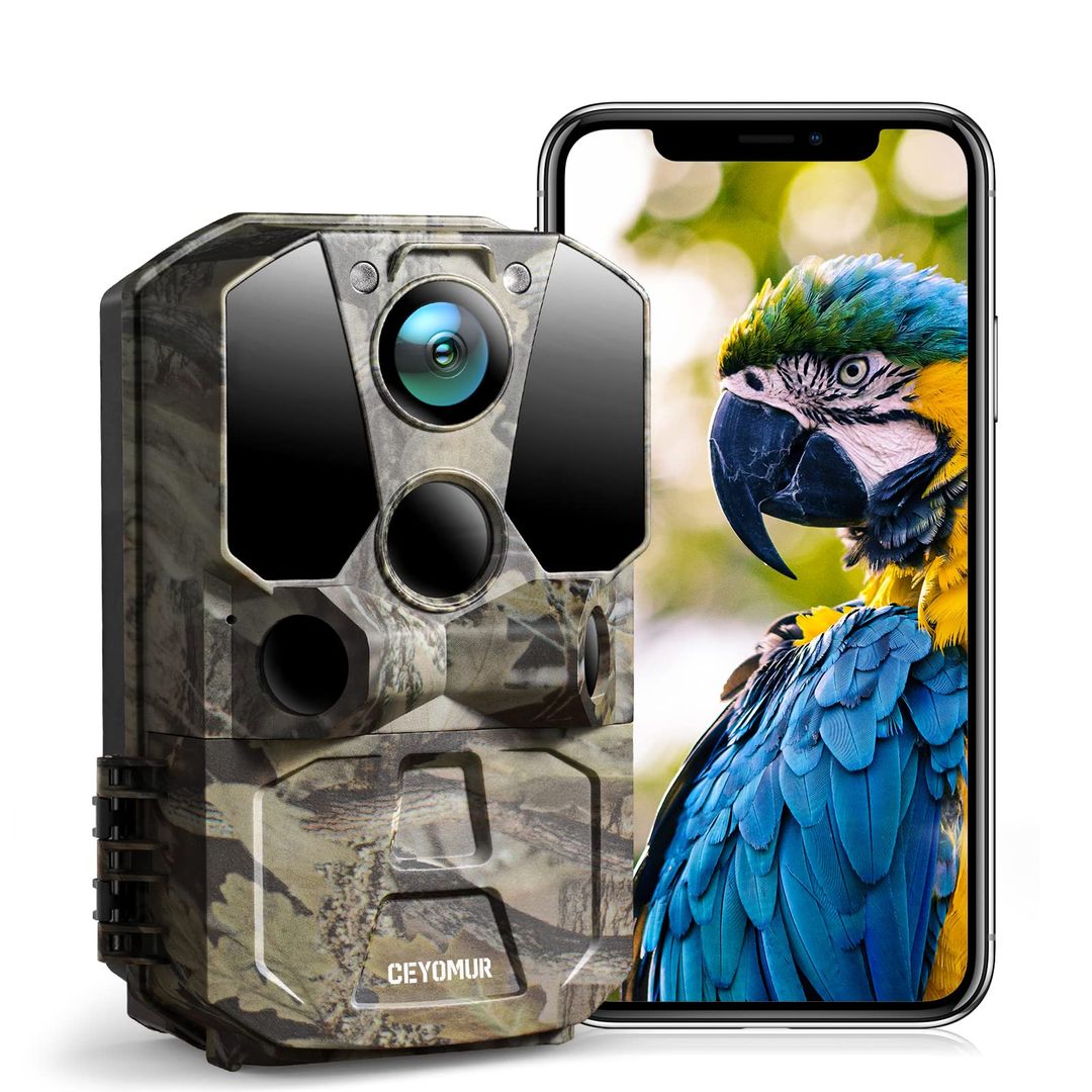 Product-image