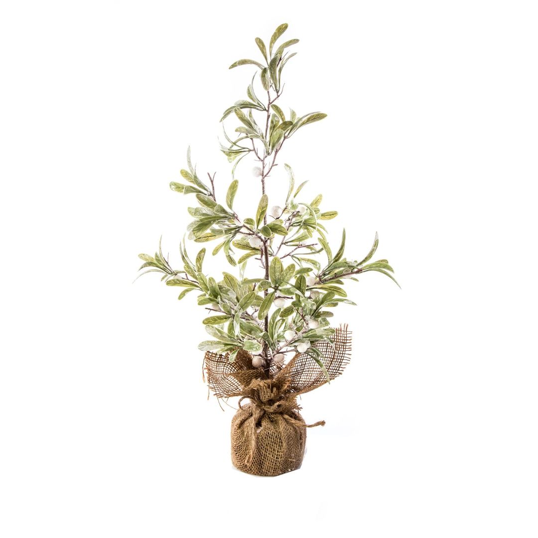 Product-image
