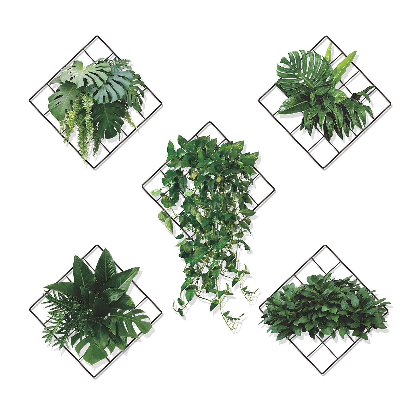 product-slider-images