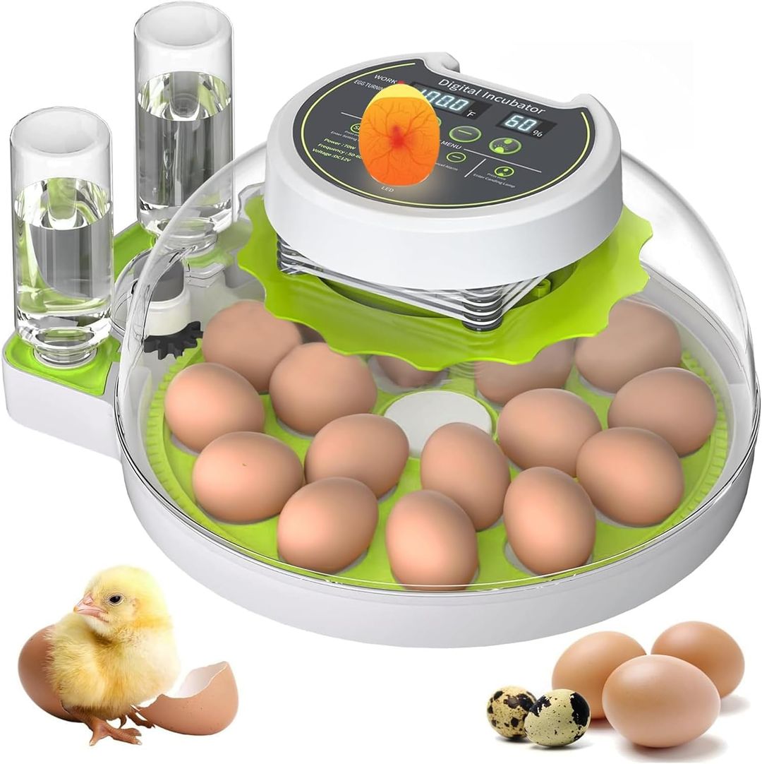 Product-image
