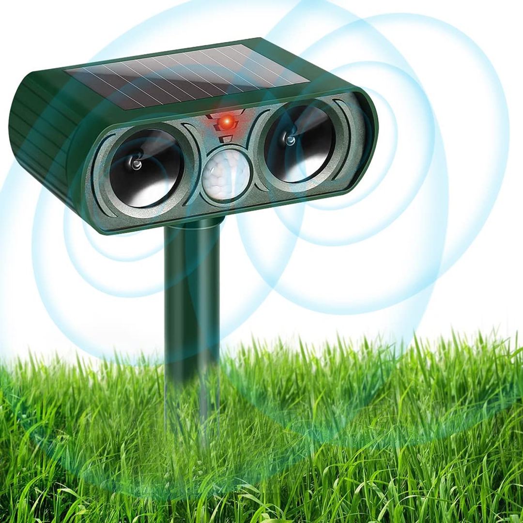 Product-image