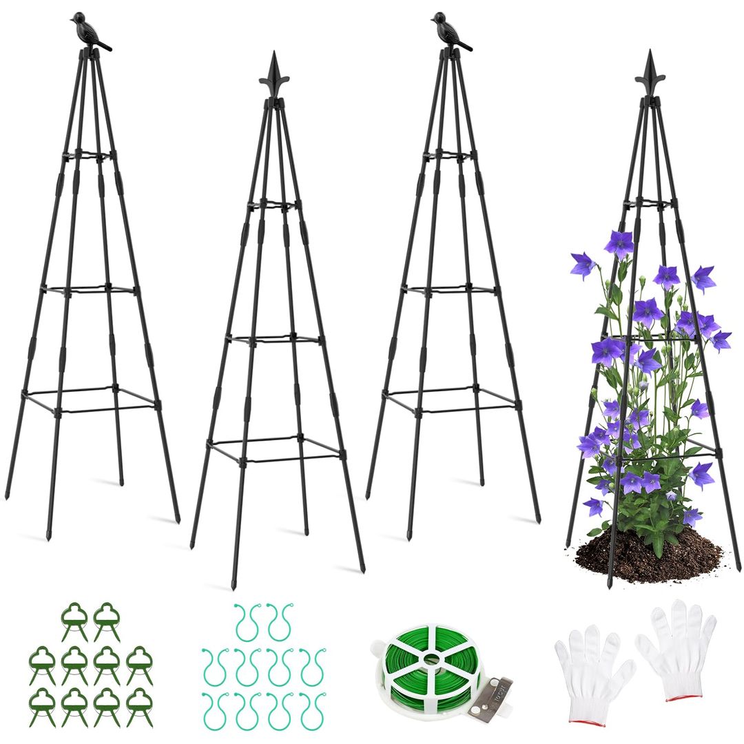 Product-image