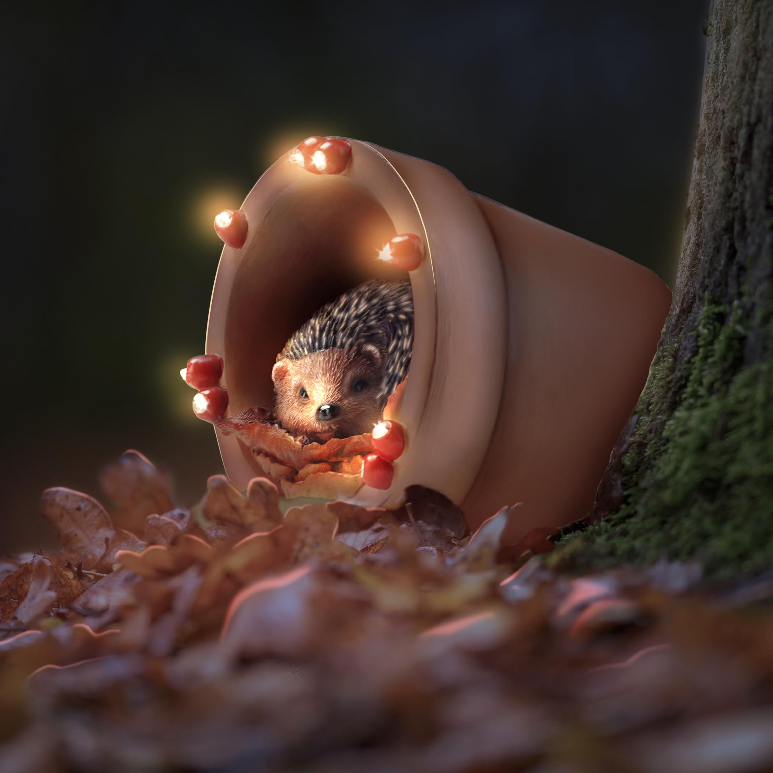 product-slider-images