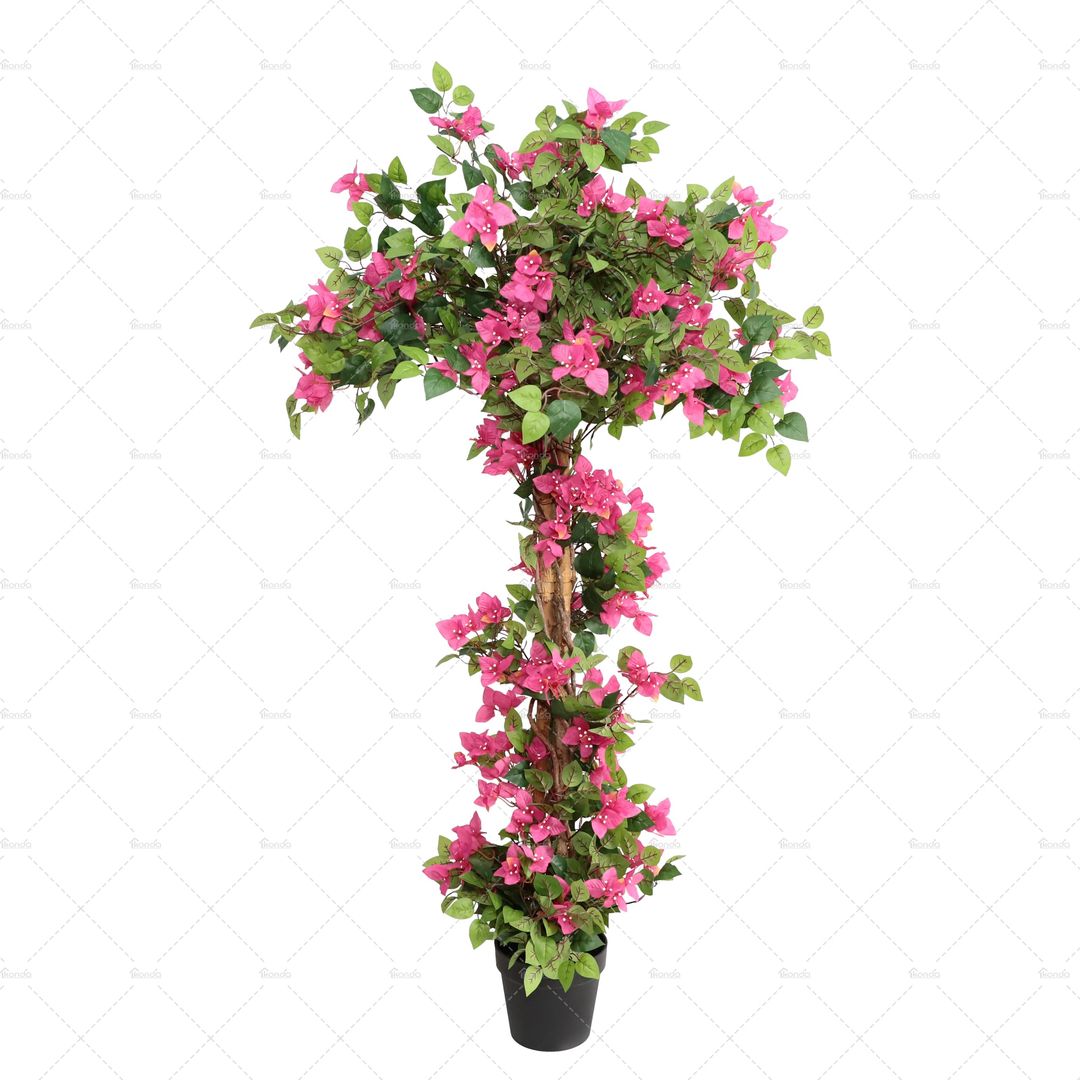 Product-image