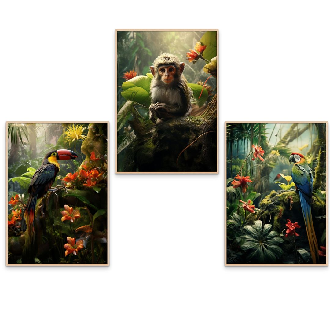 Product-image