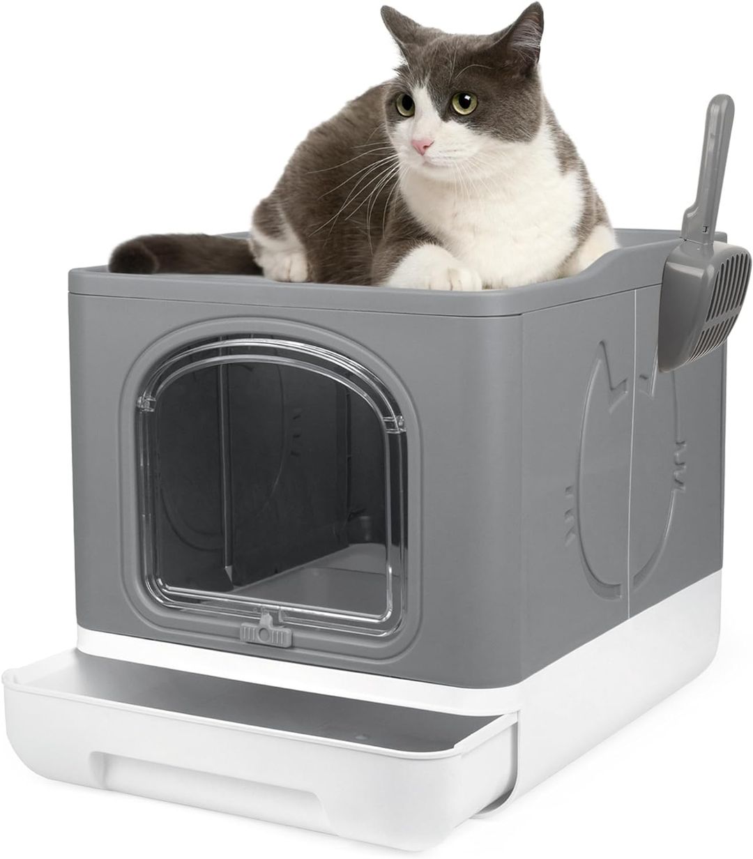 Product-image