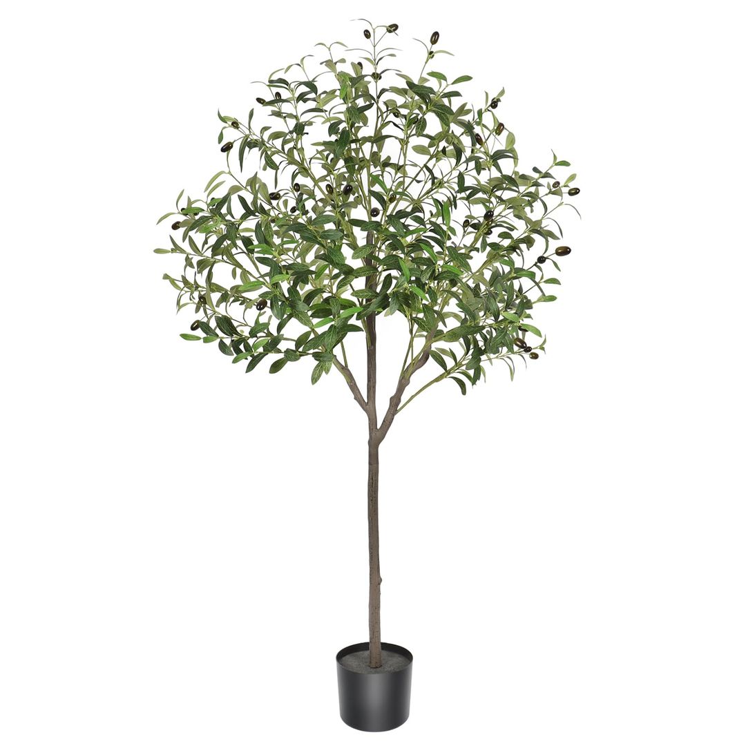 Product-image