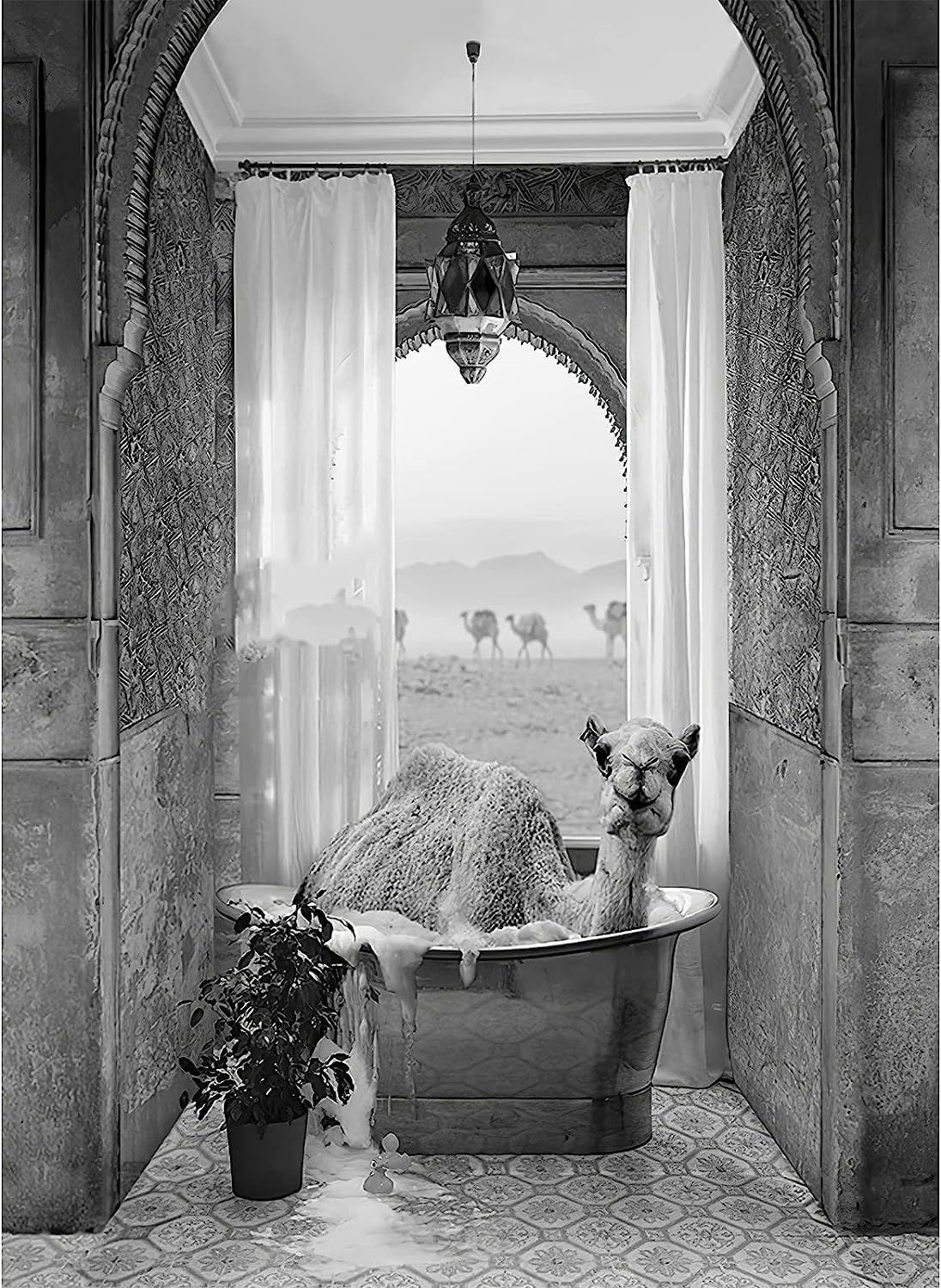 product-slider-images