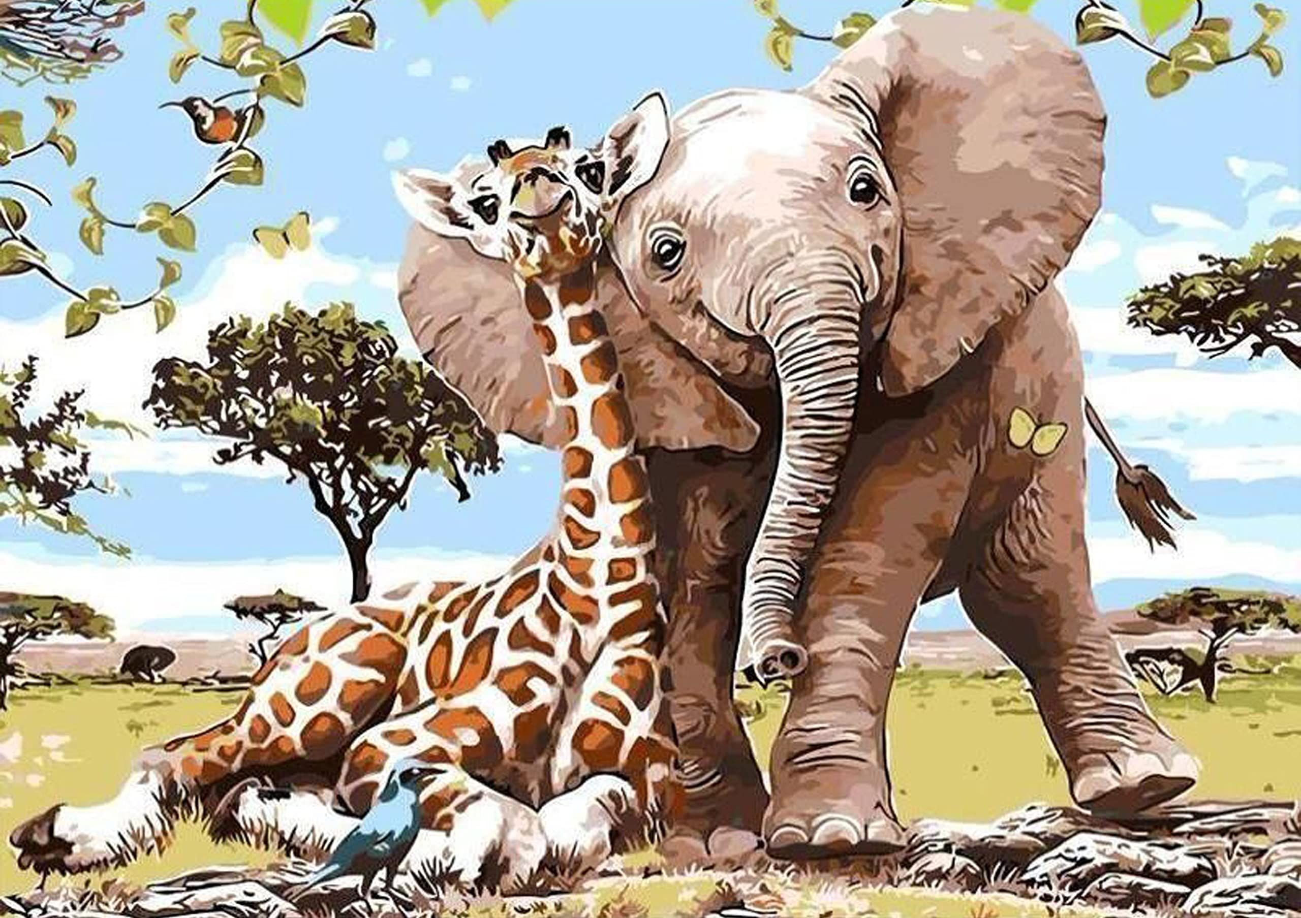 product-slider-images