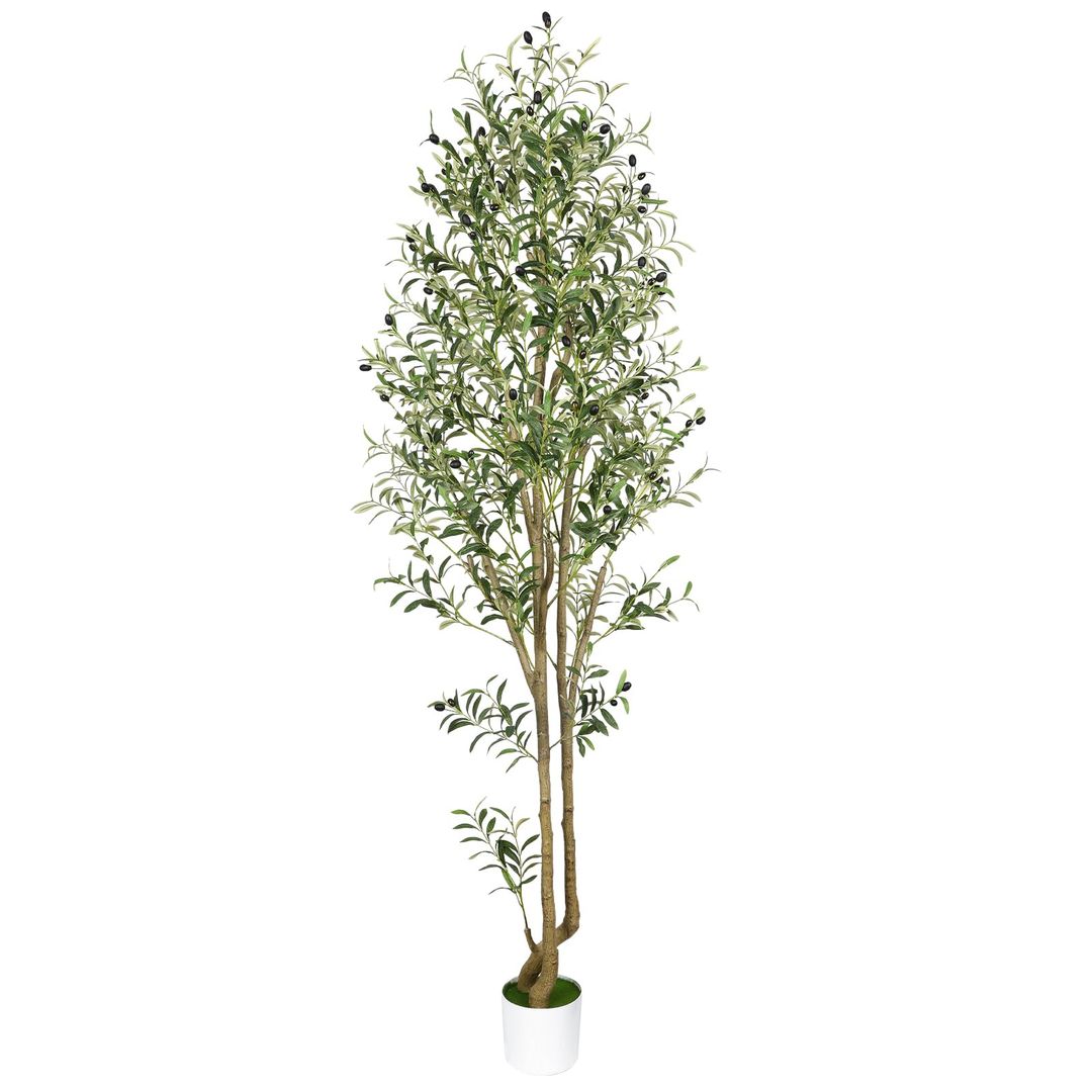 Product-image