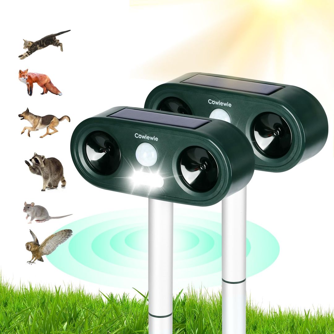 Product-image
