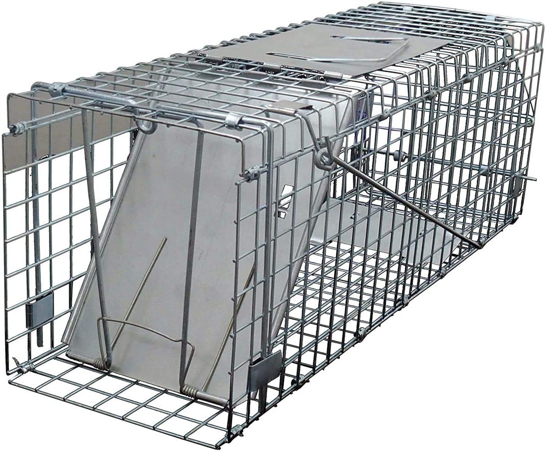 Product-image