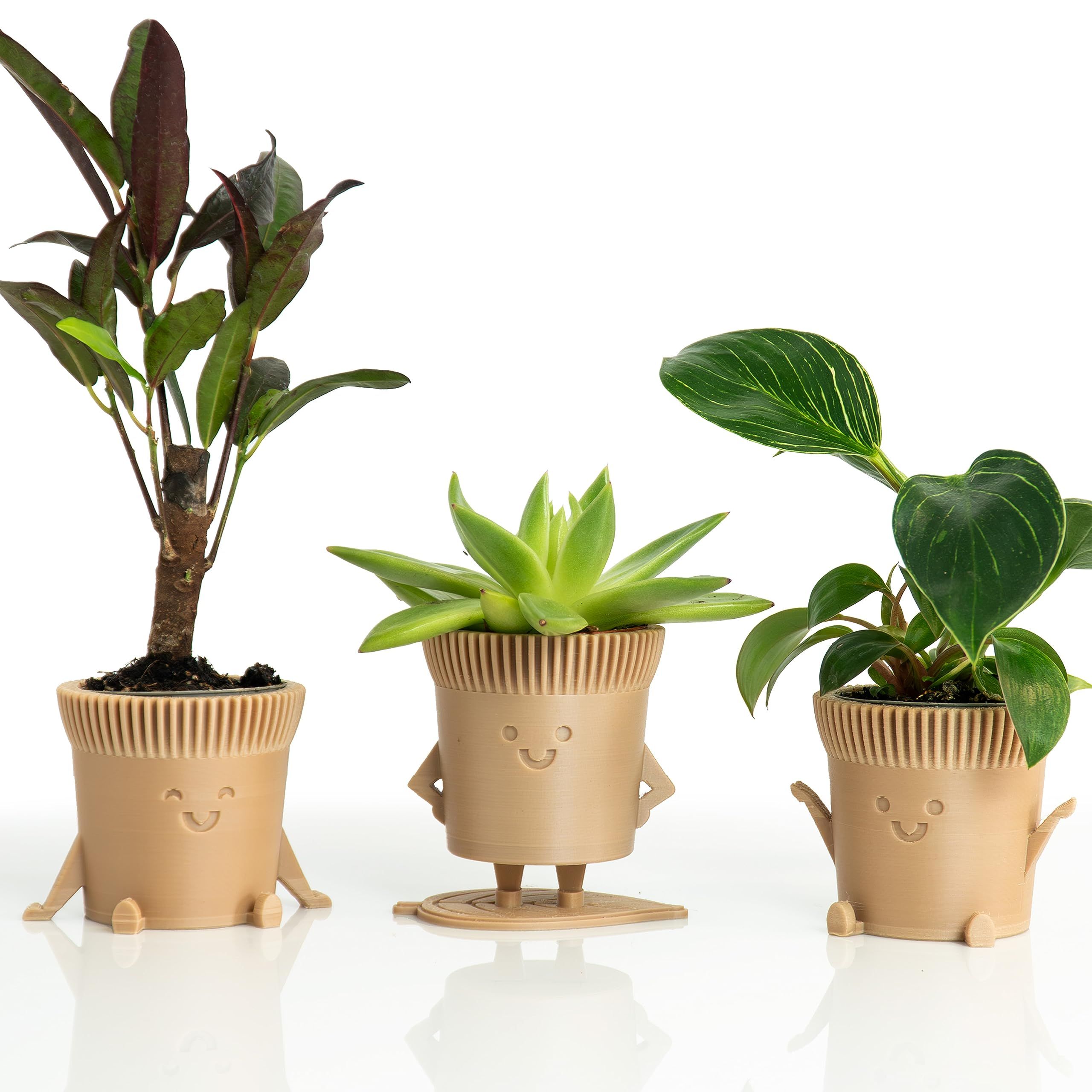 product-slider-images