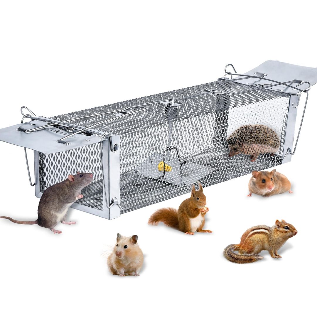 Product-image