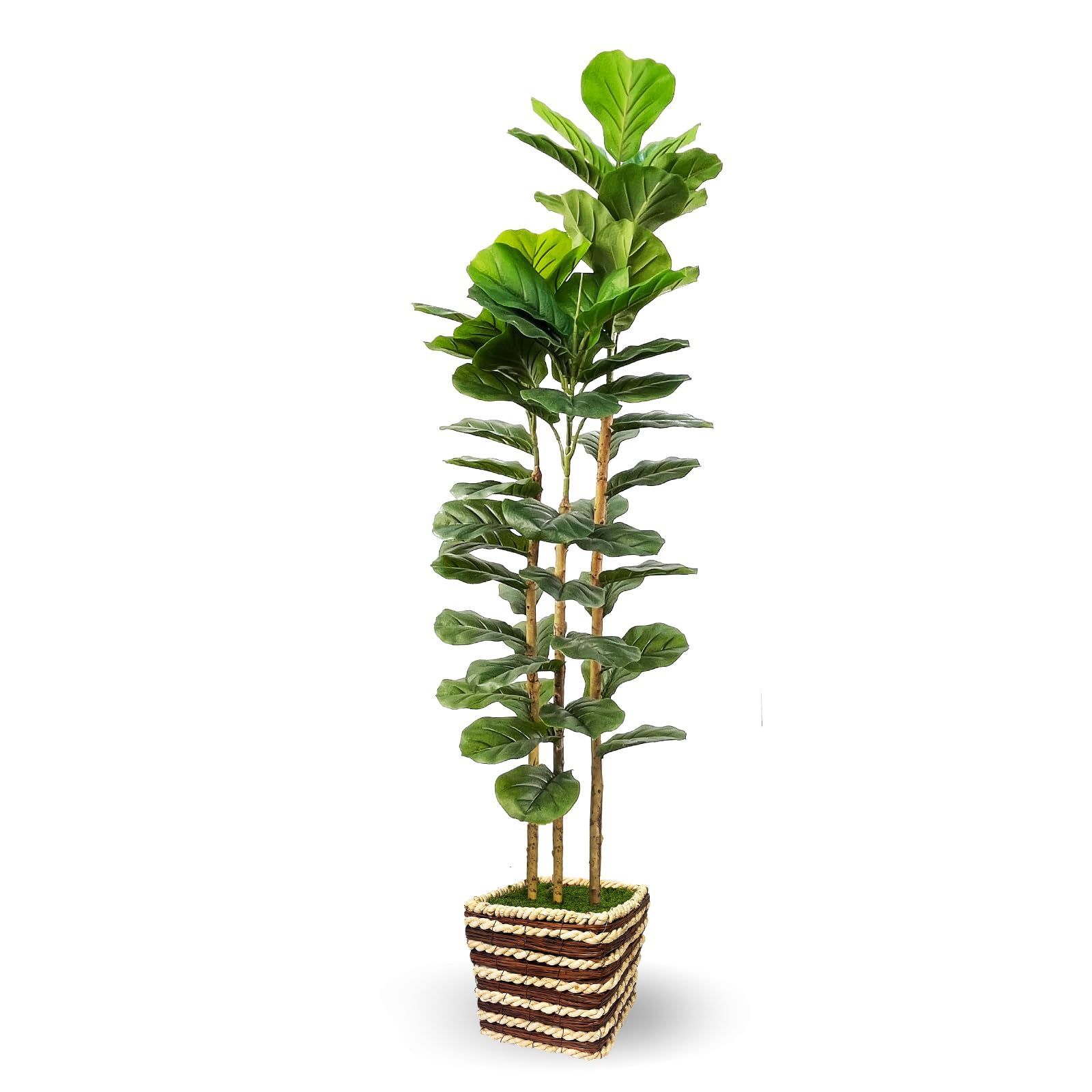 product-slider-images