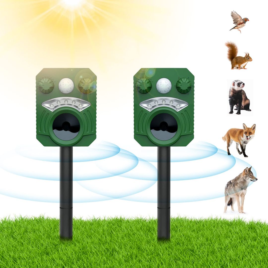 Product-image