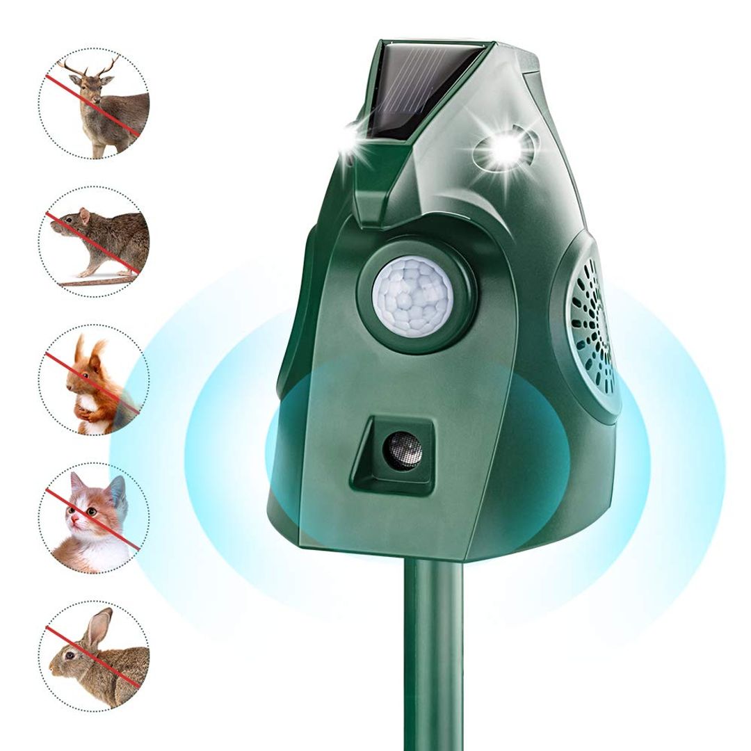 Product-image