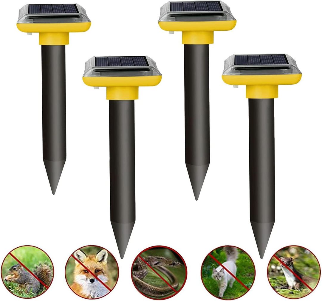 Product-image