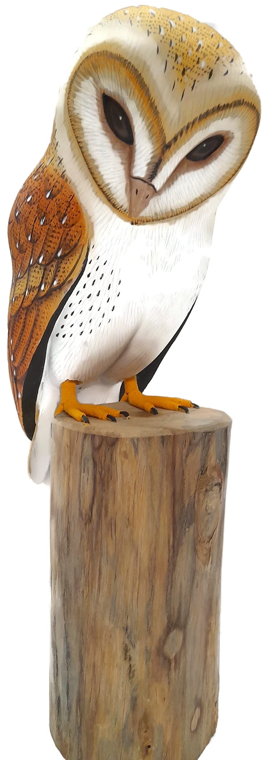 product-slider-images