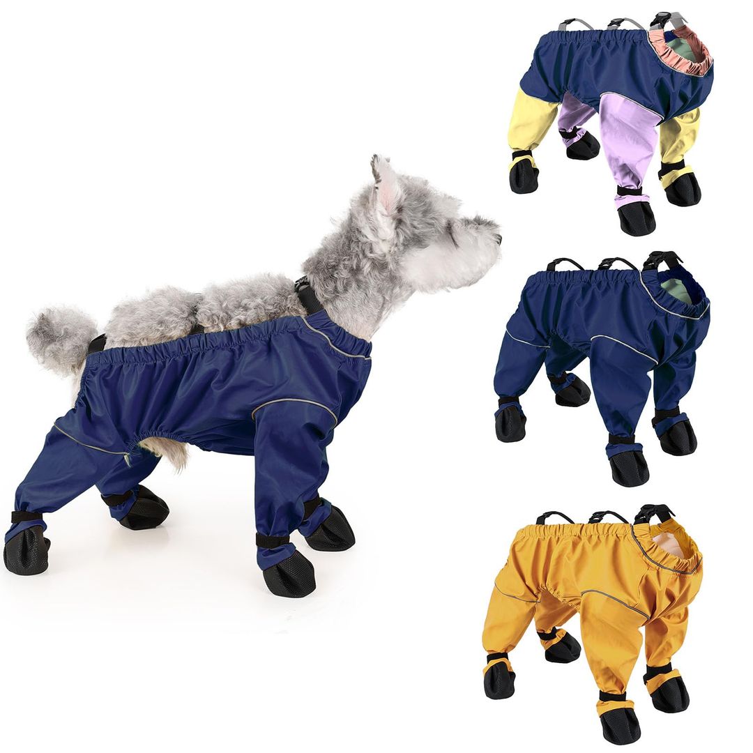 Product-image