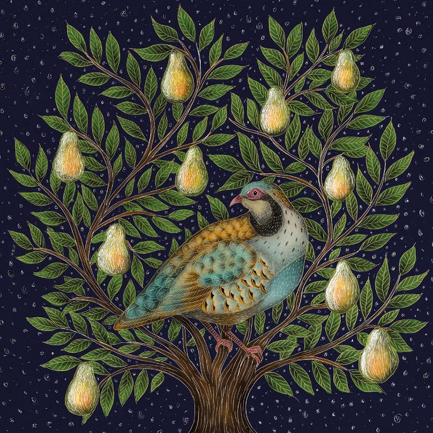 product-slider-images