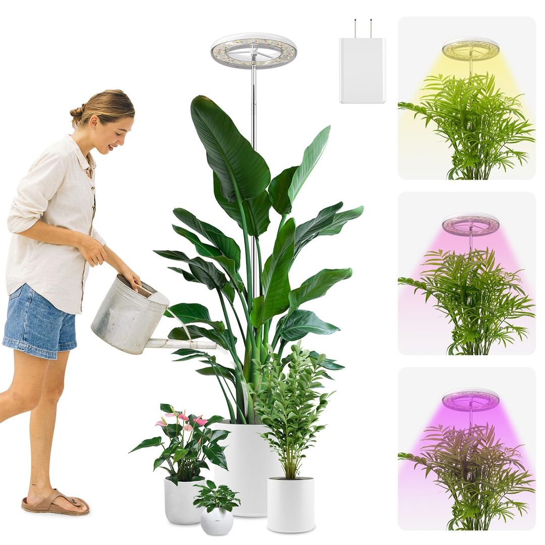 Product-image