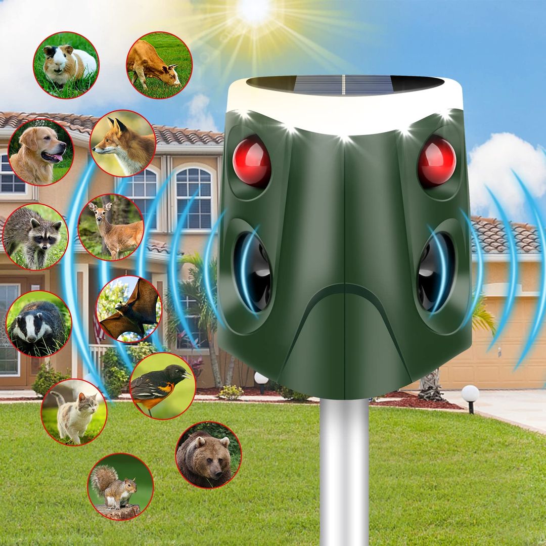 Product-image