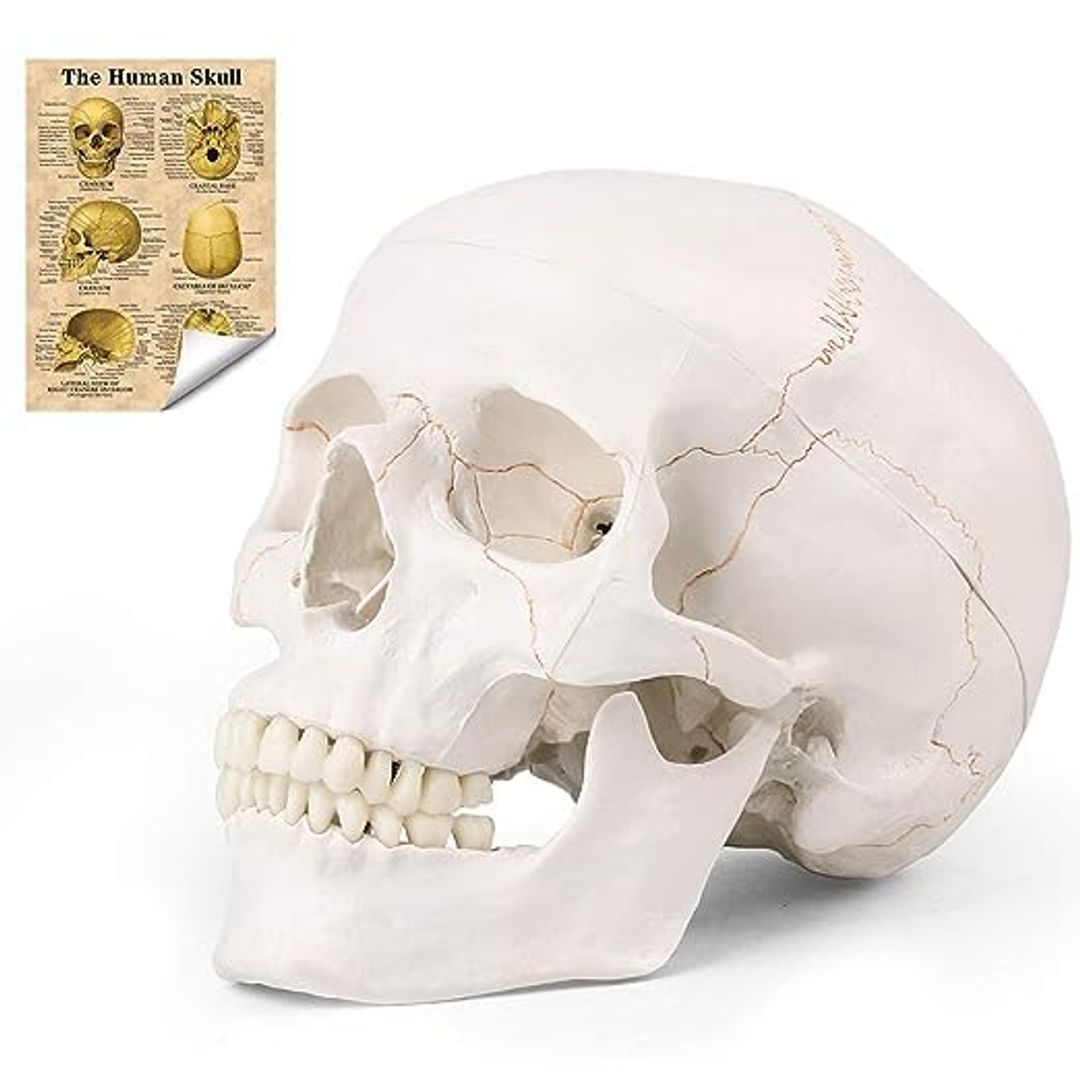 Product-image