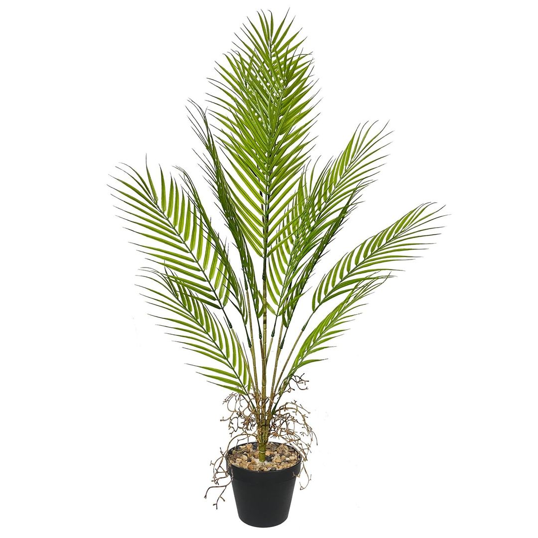 Product-image