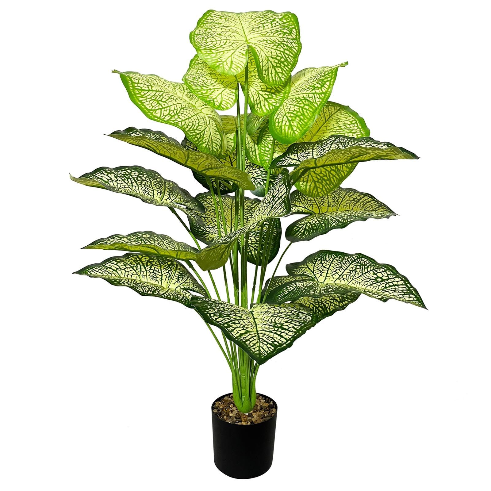 product-slider-images