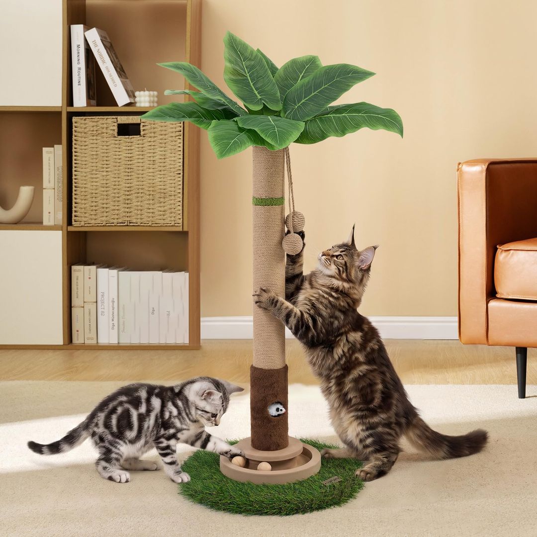 Product-image